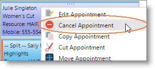 ApptCalendarCancelAppt_02